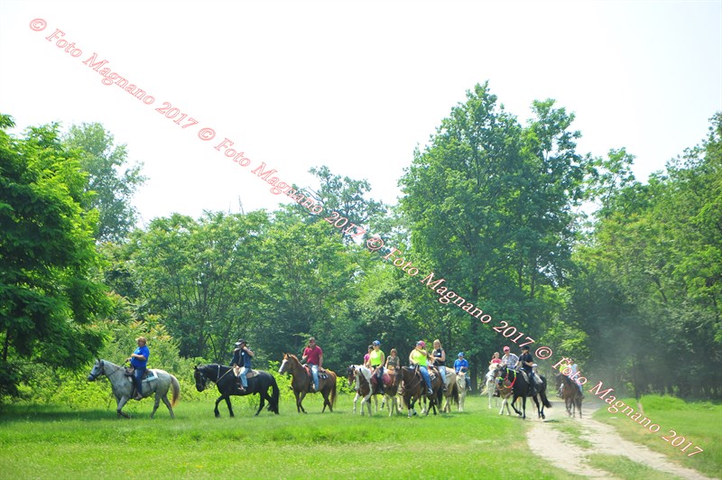 DSC_0924.JPG